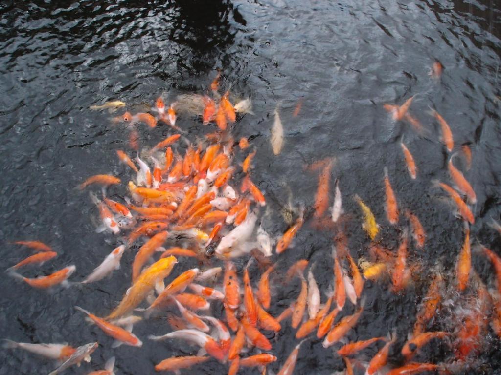 Spring Fountain Hotel Tiêu Khê Ngoại thất bức ảnh